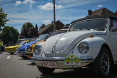 Bugs on Wheels #2 Lubbeek