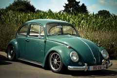 Bugs on Wheels #2 Lubbeek