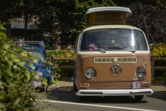 Bugs on Wheels #2 Lubbeek