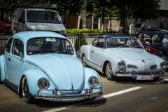 Bugs on Wheels #2 Lubbeek