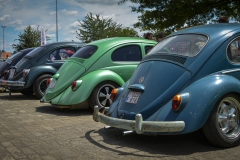 Bugs on Wheels #2 Lubbeek