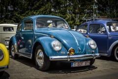 Bugs on Wheels #2 Lubbeek